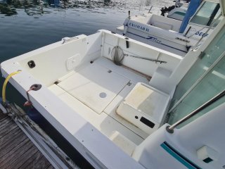 Barco Jeanneau Merry Fisher