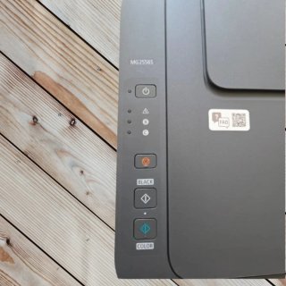 Impresora Canon Pixma MG2556S Gris
