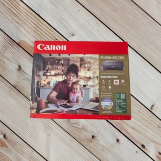 Impresora Canon Pixma MG2556S Gris