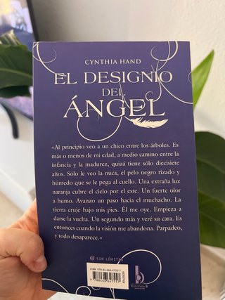 El Designio Del Angel