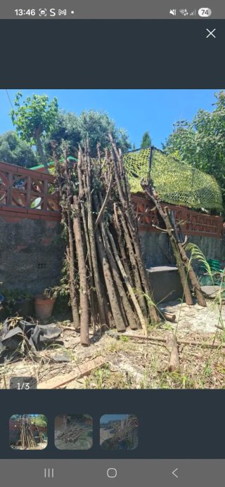 Regalo cañas y madera para barbacoa