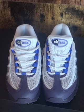 Nike Air Max 95 (PS) Niño