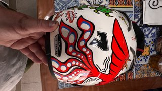 Casco AGV Ti Tech Valentino Rossi animales marinos