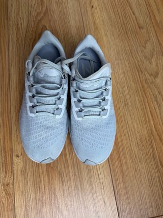 Nike Pegasus 37 gris