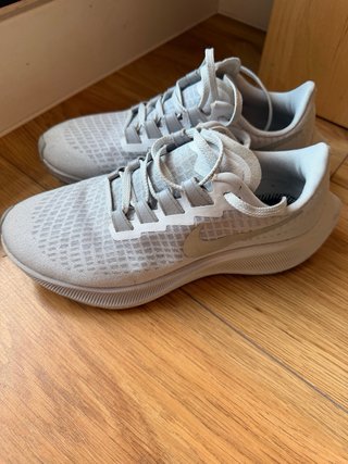 Nike Pegasus 37 gris