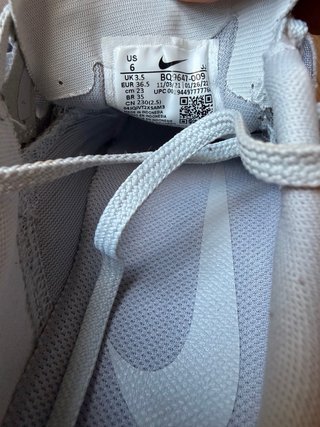Nike Pegasus 37 gris