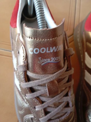 Zapatillas Coolway doradas y rojas