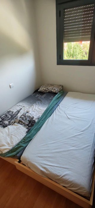 Cama extensible con 2 colchones