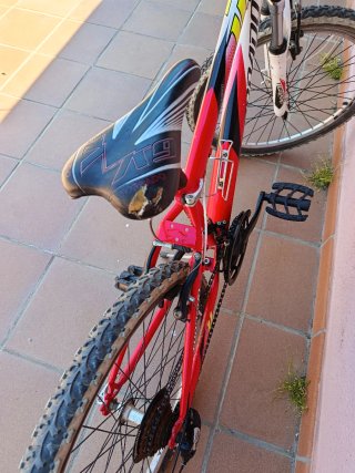 Bicicleta infantil Torpado