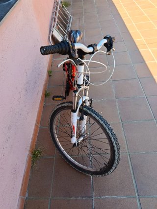 Bicicleta infantil Torpado