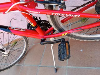 Bicicleta infantil Torpado