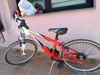 Bicicleta infantil Torpado