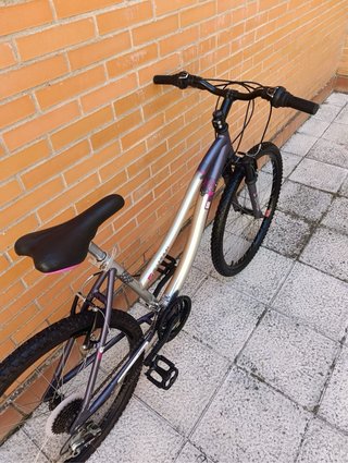 Bicicleta 26 pulgadas
