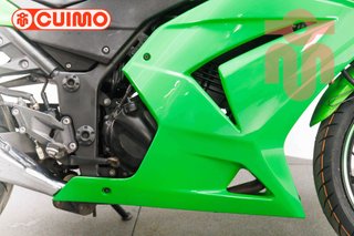 KAWASAKI NINJA 250 R