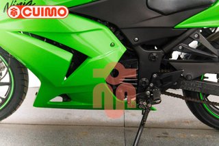 KAWASAKI NINJA 250 R
