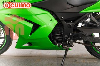 KAWASAKI NINJA 250 R