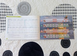 Libro Melodía 6 Música Primaria