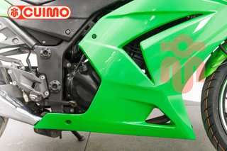 KAWASAKI NINJA 250 R