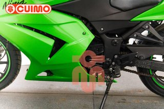 KAWASAKI NINJA 250 R