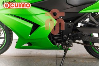 KAWASAKI NINJA 250 R