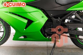 KAWASAKI NINJA 250 R