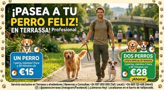 Paseo perro