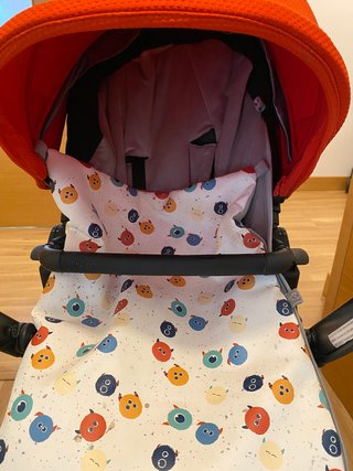 Silla de paseo Jané Rider Roja