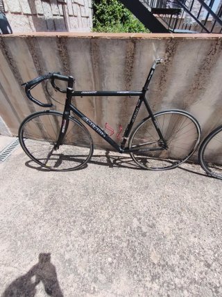 Cuadro Méndiz con ruedas y manillar