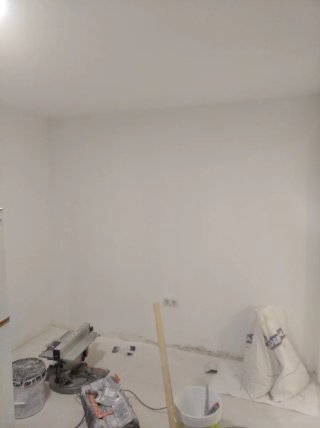 Pintor y alizador