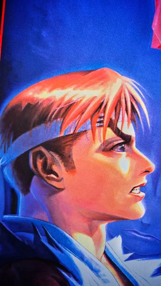 Street Fighter Zero 2 Poster PVC 70x50cm