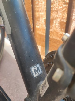 Bicicleta de montaña