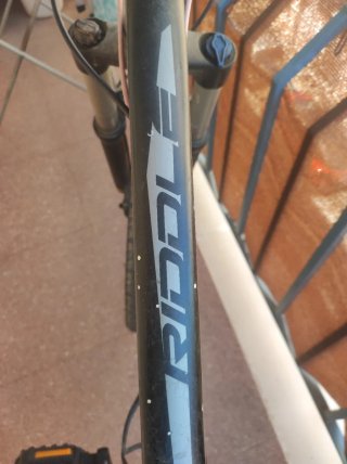Bicicleta de montaña