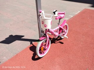 Bicicleta Infantil Rosa 14