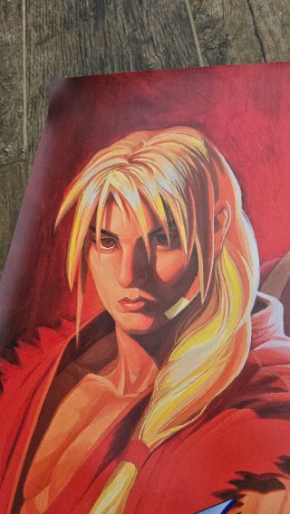 Street Fighter Zero Poster PVC 70x50