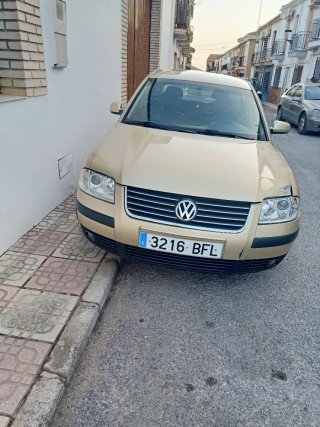 Volkswagen Passat 2002