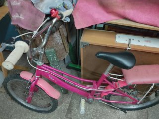 Bicicletta rosa per ragazze  Graziella
