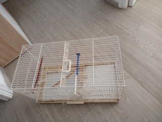 Jaula grande para pájaros