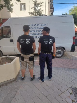 transportes