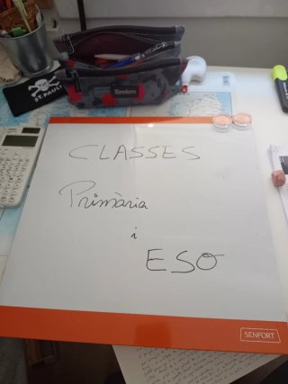 Classes particulars