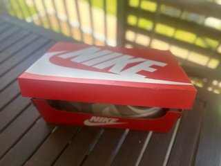 Nike Dunk Low Retro SE EUR 41