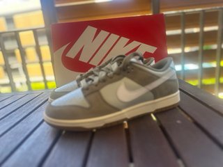 Nike Dunk Low Retro SE EUR 41