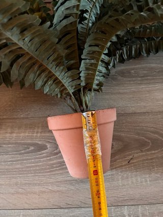 Planta de helecho artificial
