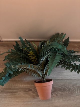 Planta de helecho artificial