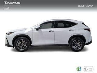 Lexus NX 450h+ Premium+ 4WD