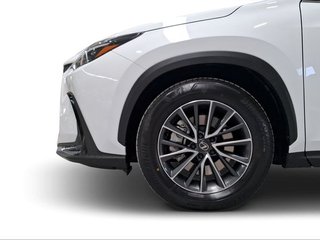 Lexus NX 450h+ Premium+ 4WD