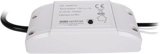 SCS Sentinel módulo receptor motorización wifi