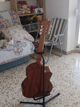 Guitarra Clásica Córdoba C5 Zurda Amplificada