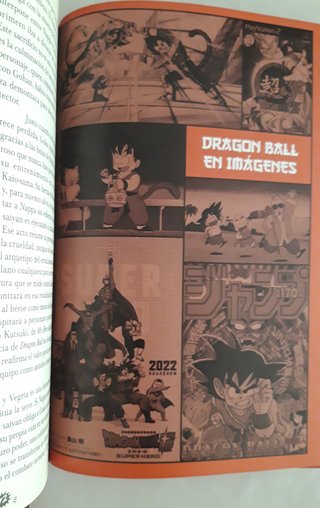 DRAGON BALL LIBRO ( RBA )