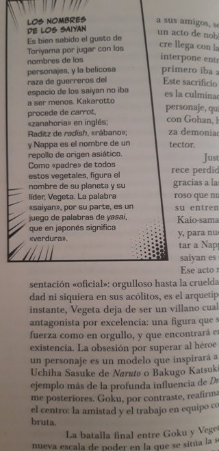 DRAGON BALL LIBRO ( RBA )