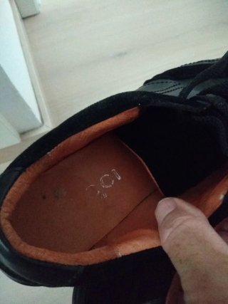 Zapatillas Gucci hombre  Elegantes y cómodas.